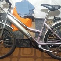 Bicicletta da donna ragazza