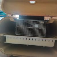  incubatrice con volatili