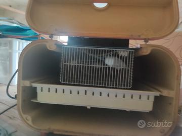  incubatrice con volatili