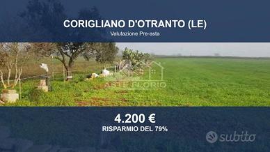 Immobile in asta di 10734 m² a Corigliano d'Otrant