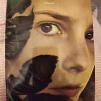 la solitudine dei numeri primi 