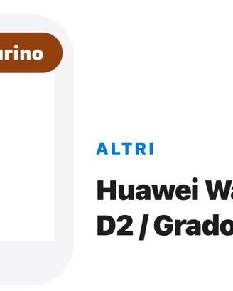 Huawei watch D2