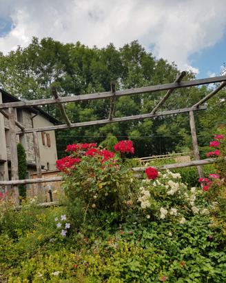 Casa di vacanza Monte Cimone