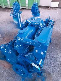 Coppia motori diesel Ford