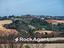 Immagine 11
