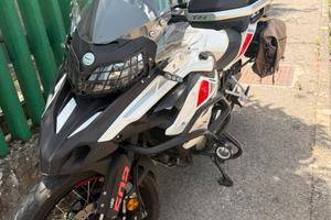 TRK 502x 2021