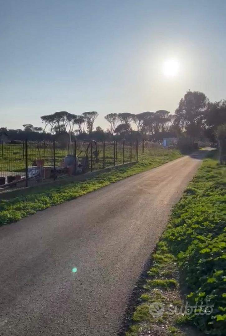 Terreno agricolo. Via Isillo 40, 00124 roma - Ansicht 2