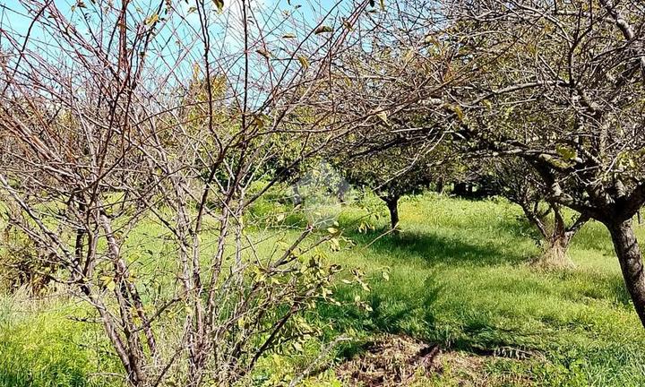 TERRENO A SAN GIORGIO A CREMANO