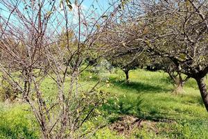TERRENO A SAN GIORGIO A CREMANO