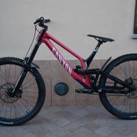 Canyon Sender 2024 Downhill custom 29