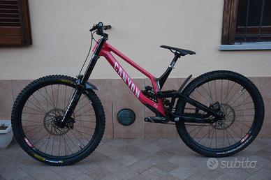 Canyon Sender 2024 Downhill custom 29