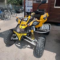 Quad Can-Am 450