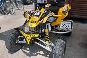 Quad Can-Am 450