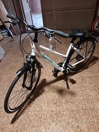 Bici Capriolo roadster-trekking