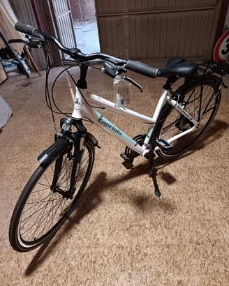 Bici Capriolo roadster-trekking
