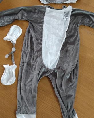 Carnevale coniglio Bugs Bunny