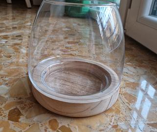 Terrario nuovo in vetro con base in legno e pietre