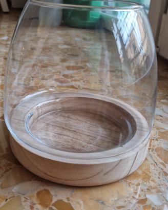 Terrario nuovo in vetro con base in legno e pietre