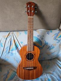 Ukulele