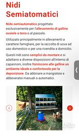 Nidi per galline ovaiole