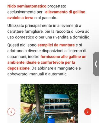 Nidi per galline ovaiole