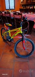 mtb lombardo 20 brera