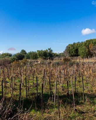 Terreno - Biancavilla