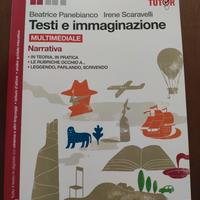 libro TESTI E IMMAGINAZIONE