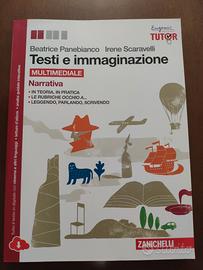 libro TESTI E IMMAGINAZIONE