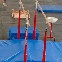 Parallela Fonti nuova, ginnastica calisthenics