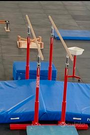 Parallela Fonti nuova, ginnastica calisthenics