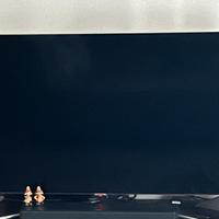 TV Samsung 49 pollici