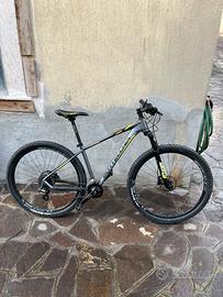 Bottecchia fx 116