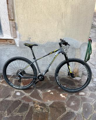 Bottecchia fx 116