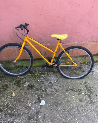 Bici bianchi