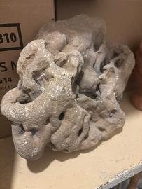 Due pietre  per acquario