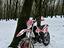 Immagine 1