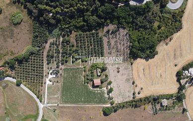 PROPRIETÀ CON DUE FABBRICATI E 1,5 ETTARI DI TERRE
