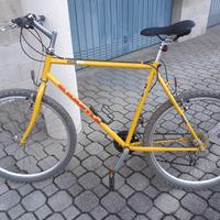 mountain bike kastle da uomo 