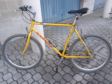 mountain bike kastle da uomo 