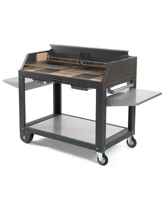 Barbecue a legna / carbone EGEO