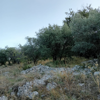 Terreno Frosinone