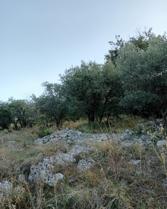 Terreno Frosinone