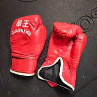 Guanti da boxe