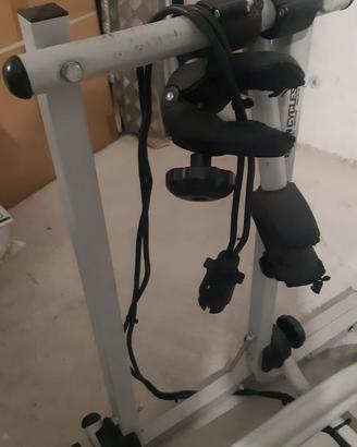 Portabici x smart 450 451