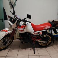 YAMAHA XT 600 Z 55W TÈNÈRÈ DEL 1985 
