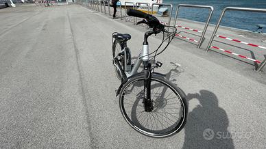 Bicicletta Elettrica (pedalata assistita)