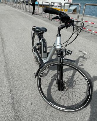 Bicicletta Elettrica (pedalata assistita)
