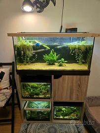 ACQUARIO 80 LITRI CON MOBILETTO + FILTRO
