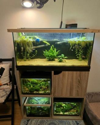 ACQUARIO 80 LITRI CON MOBILETTO + FILTRO